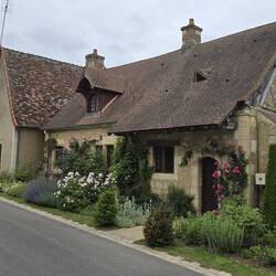 Pretty and well kept gardens