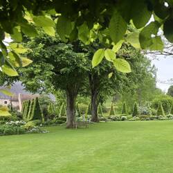 Managed a quick peak at part of the garden