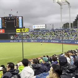 They love their baseball