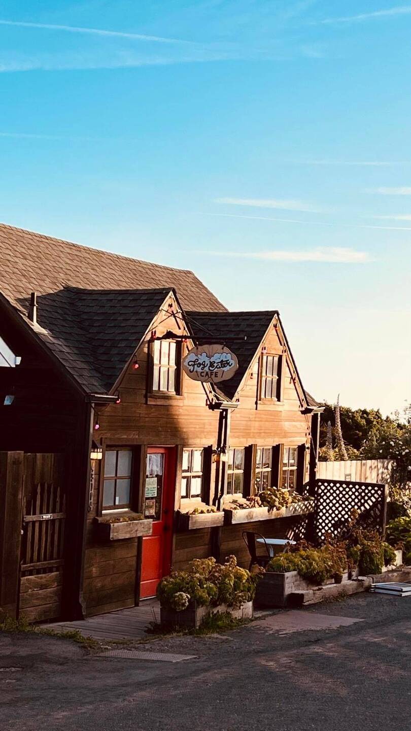 Leckeres veganes Essen, kein Nebel 👍😁