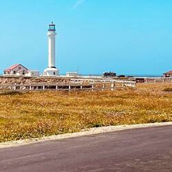 Der kürzeste Weg aus Amerika nach Hawaii 👍