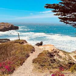 Auf der Sea Ranch zur Brotzeit, es hat uns fast den Käse vom Brot geweht 🤪