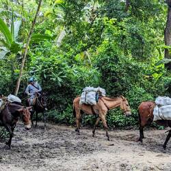 Materialtransport im Nationalpark