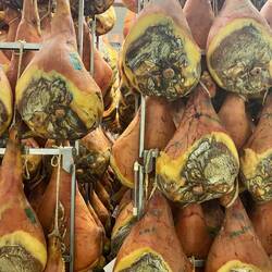 Prosciutto hams
