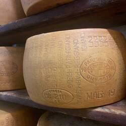 Cheese wheel with DOP stamps