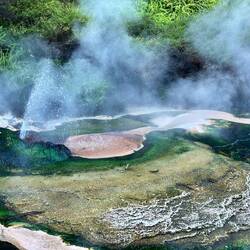Waimangu Volcanic Valley