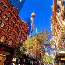 zwischen alten und neuen Gebäude erspähe ich den Sky Tower, wo ist wohl der Eingang?!