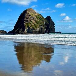 Piha Beach