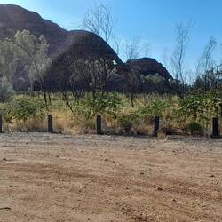 The Bungles