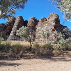 Bungles