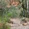 Riverbed stones