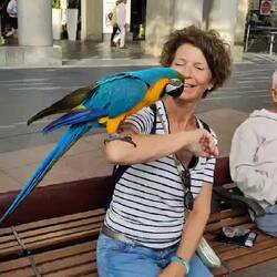 dieser prächtige Papagei, flüstert mir noch "goodbye" ins Ohr