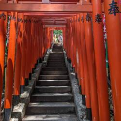 Senbon Torii