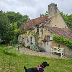 Lots of pretty houses near the Château