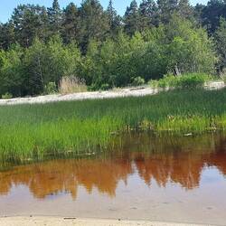 Zwischen Strand und Wald