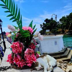 Durch nichts aus der Ruhe zu bringen