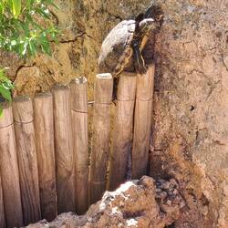 Das ist der Ausbrecherkönig 😆