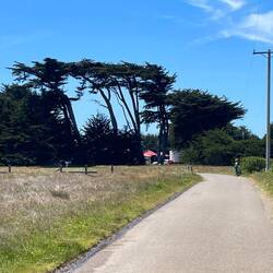 Etwas gebeutelt, bei den Windbriesen aber auch kein Wunder 💨🥴