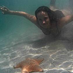 Und erleben die dicken Seesterne hautnah :)