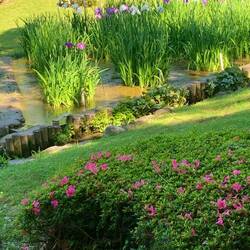 Imperial gardens