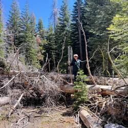 Me climbing over log piles in the trail