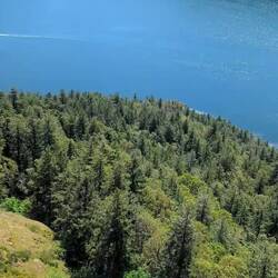 Aussichtsturm auf dem Weg nach Tofino