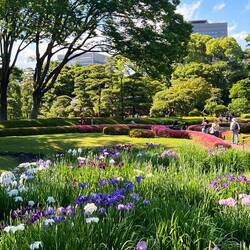 Imperial East Gardens