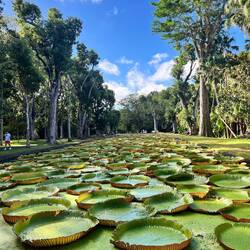 Botanischer Garten