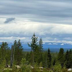 Fjäll voraus!