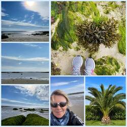 Morgenspaziergang ☀️