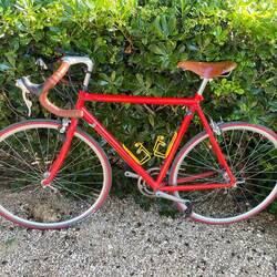330 km mit dem roten Gleiter