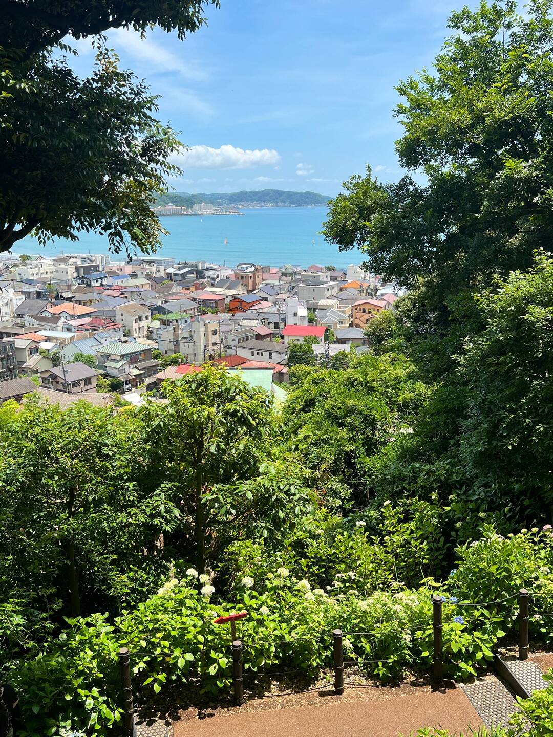 Kamakura & Sagami Bay