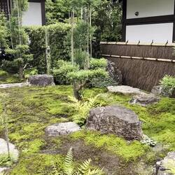 Hasa-dera Temple home!