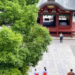 Tsurugaoka Hachimangu - Shrine