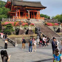 Kiyomizu-Tempel.