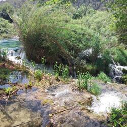 The fauna and wildlife abounds