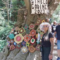 European Year of the Tree