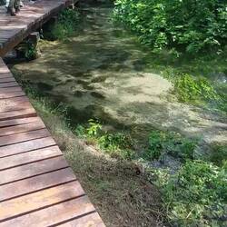 Really enjoyed this, next National Park will be Plitvice Lakes