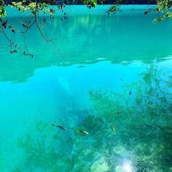 Amazing clear water all thru Croatia we have found