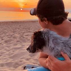 🫶🏼🐶😍🌅
