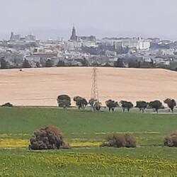 Mein Ziel, Jerez in Sichtweite