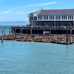 Wegen Überfüllung geschlossen