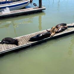 Hier wäre noch Platz...