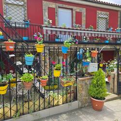 Cute happy house coming into Logrono
