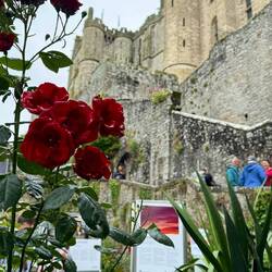 Le Mont-Saint-Michel