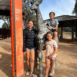 Can we take a baby giraffe home?