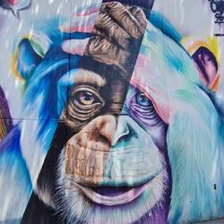 Woher wir kommen, was wir sind.