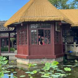 Lunch time at the Lotus farm