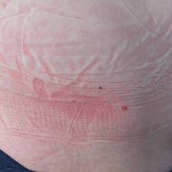 Körper = Lastenträger.