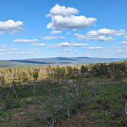 Weite...Ruhe...Natur pur